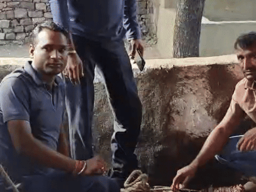 मगरमच्छ का रेस्क्यू करते वन विभाग के कर्मचारी