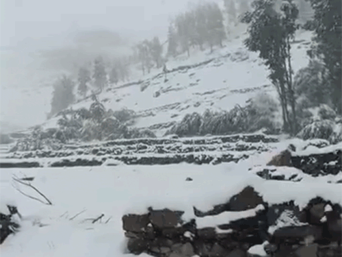 लाहौल घाटी में बिछी बर्फ की सफेद चादर।
