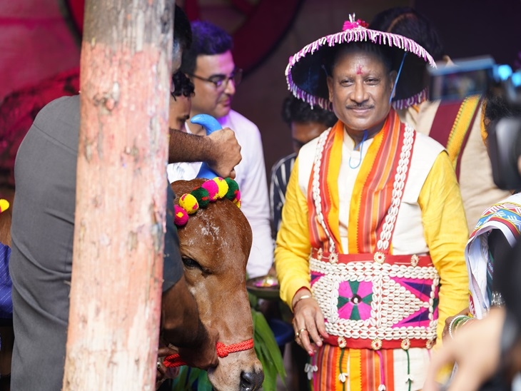 सीएम विष्णुदेव साय की गाय के साथ ये तस्वीर हरेली उत्सव के दौरान की है।