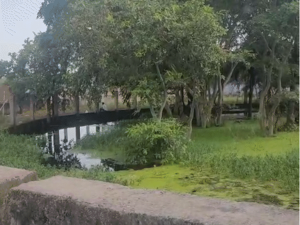गौरागांव से बील खेड़ी के बीच एफटीएल के हिस्से में बनी बाउंड्रीवॉल।