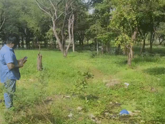 सूरज नगर के पास तालाब में सीवेज बहता दिखाते एक्सपर्ट।