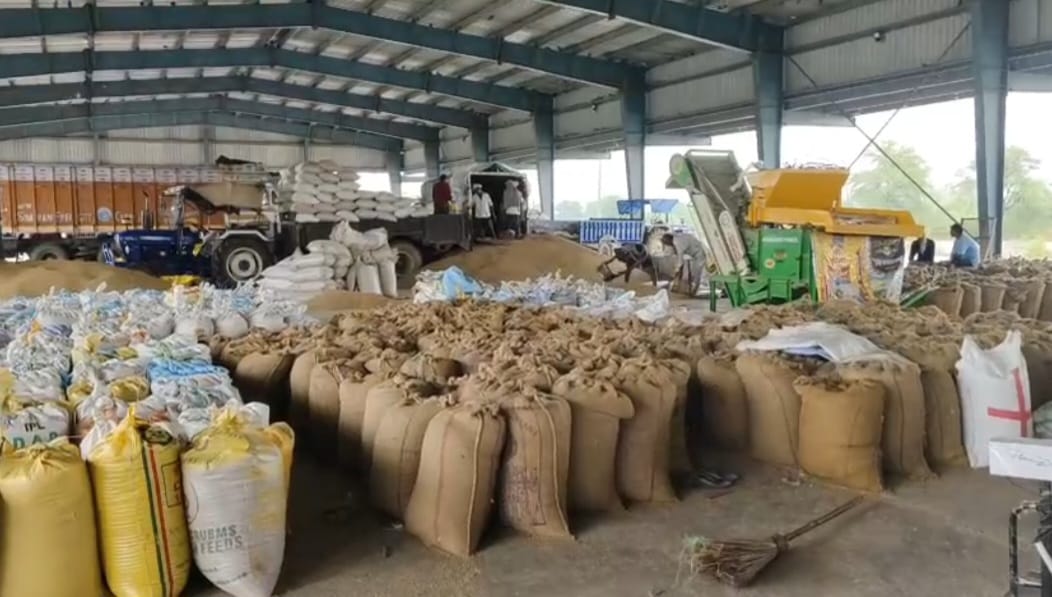 नारनौल मंडी में नहीं बिक रहा किसानों का बाजरा:  बारिश से हुआ खराब, सरकारी एजेंसी कर रिजेक्ट; किसान बोले- नहीं मिल रही एमएसपी – Narnaul News