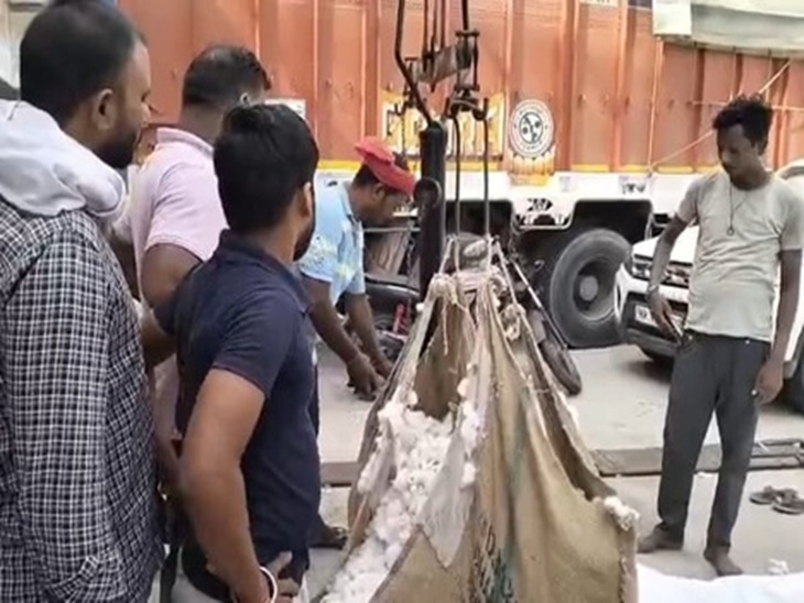 भिवानी अनाज मंडी में पहुंची कपास का मापतोल करते हुए