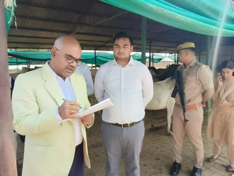 DM made a surprise inspection of Maharajpur Gaushala
