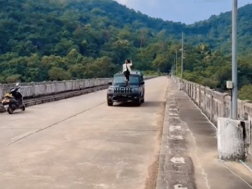 सोशल मीडिया पर युवती अक्सर स्कॉर्पियों के साथ वीडियो डाला करती थी।