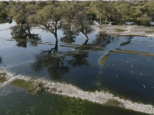 फोटो लूणी क्षेत्र के खेत का है। जहां केमिकल पानी की वजह से जमीन बंजर हो चुकी है।