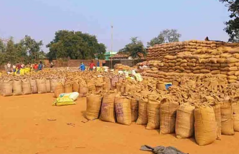 छत्तीसगढ़ में 15 नवंबर से धान खरीदेगी सरकार:  प्रति एकड़ 21 क्विंटल बेच सकेंगे किसान, सीएम साय ने की घोषणा – Raipur News