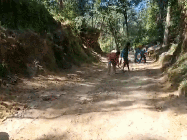 This time there was more rain than normal in the monsoon, due to which there was huge damage to the forest roads.