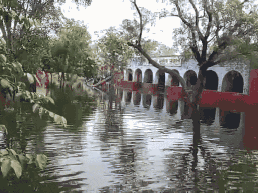 There was waterlogging in the school of MP Dharambir's village Talu.