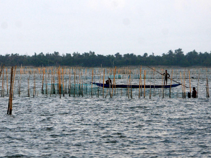 Fish is the main source of income for about 100 villages located near Chilka.