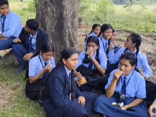 टीचर को हटाने की मांग को लेकर छात्राएं स्कूल से बाहर पेड़ के नीचे बैठी रही। - Dainik Bhaskar