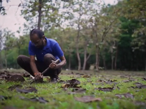 27 सालों से रोम शंकर पर्यावरण के लिए काम कर रहे है।