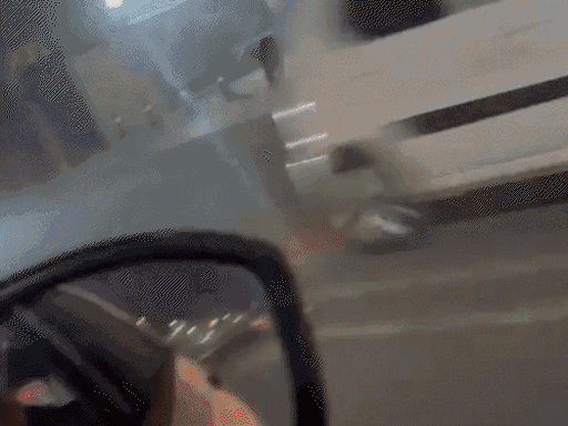 जालंधर शहर में इससे पहले भी कई बार सांभर आ चुका है।