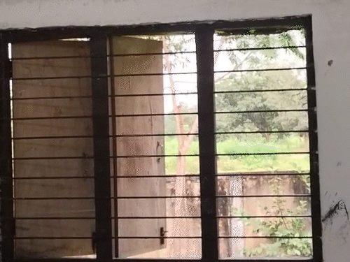 हॉस्टल प्रबंधन के अनुसार इसी खिड़की से छात्रा की लाश लटकी हुई मिली थी।