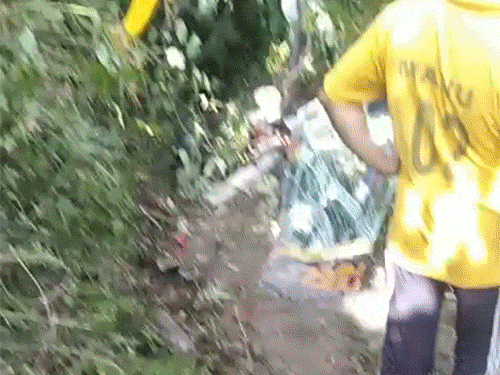 बिलासपुर के चलोणा में दुर्घटनाग्रस्त बस।