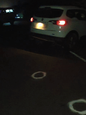 बदमाश ने जब गाड़ी भगानी शुरू कर दी तो दूसरी टीम ने आगे से घेराबंदी कर दी।