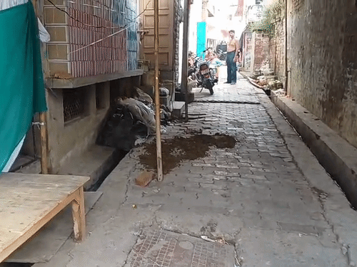 अली को आरोपियों ने गली में गिराकर मारा था। इससे मौके पर काफी खून बिखरा था।