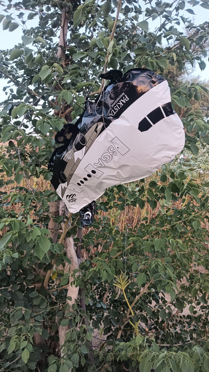 उड़ता हुआ बैलून पेड़ पर आकर अटक गया था।