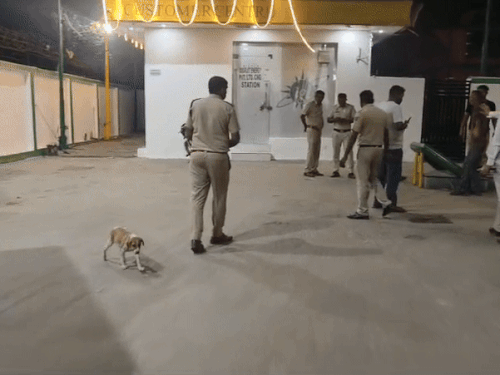 सूचना के बाद रात 12 बजे के बाद मौके पर पहुंची पुलिस।