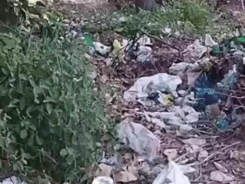 अमृतसर का ऐतिहासिक कंपनी बाग गंदगी में तब्दील:  नगर निगम पर लापरवाही के आरोप, दिवाली से पहले सफाई की मांग तेज हुई – Amritsar News