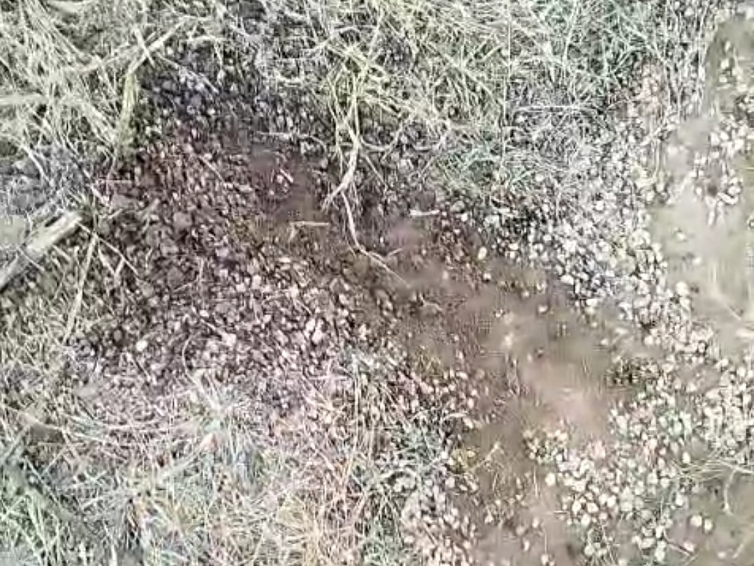 Allegations of substandard material used in road construction in ...