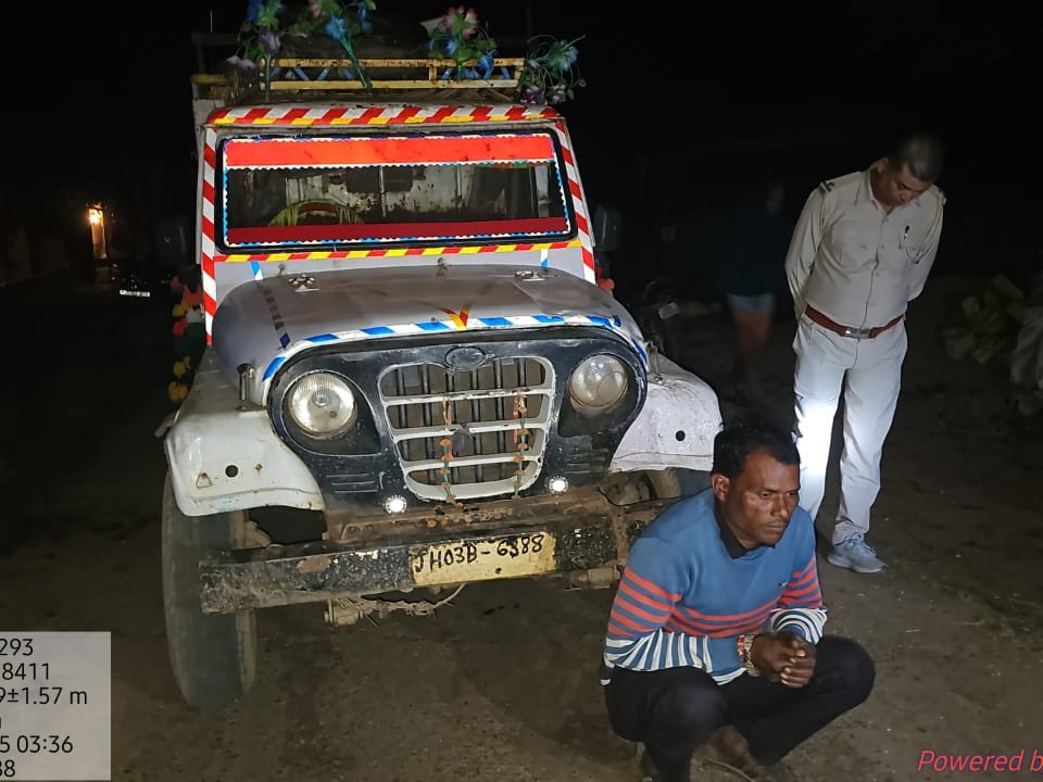 अवैध तरीके से लकड़ी की तस्करी करते 1 गिरफ्तार:  बलरामपुर में पिकअप से 70 हजार की साल चिरान जब्त, झारखंड का रहने वाला आरोपी – Balrampur (Ramanujganj) News