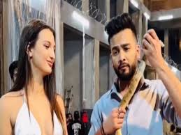 एलविश यादव पर पार्टी और गानों में सांपों के प्रयोग का आरोप लगाया गया था।