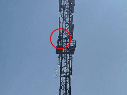 A young man climbed a mobile tower in Bansur, VIDEO