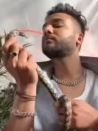 एल्विश यादव पर पार्टी और गानों में सांपों के प्रयोग का आरोप लगाया गया था (फाइल फोटो)