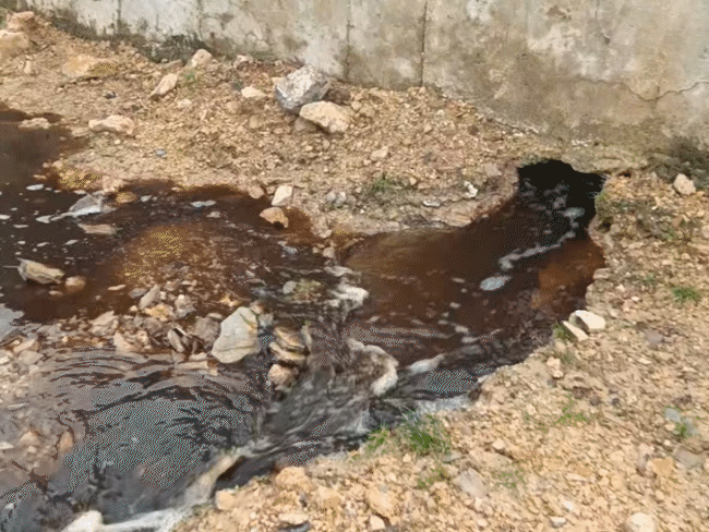 कचरा प्लांट से काला पानी निकलता रहता है। इसी पानी से गायों की मौत हो रही है।