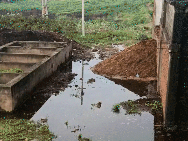 प्लांट के पास घरों के पास भी काला पानी भरा हुआ है।