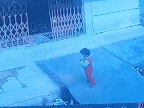 ननिहाल में बच्ची के किडनैप की वारदात घर के बाहर लगे सीसीटीवी में कैद हो गई।