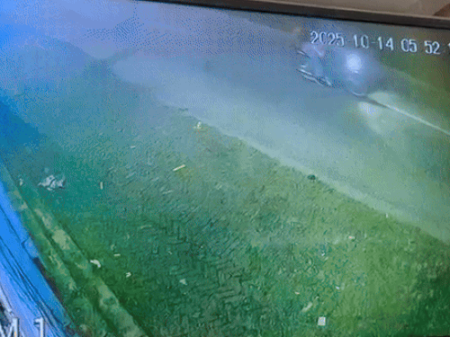 पंजाब में सरपंच की दुकान पर 6 राउंड फायरिंग, VIDEO:  कंबल ओढ़ आया बदमाश; पिस्टल लोड न हुई तो गुस्से में 4 और गोलियां चलाईं – Kapurthala News