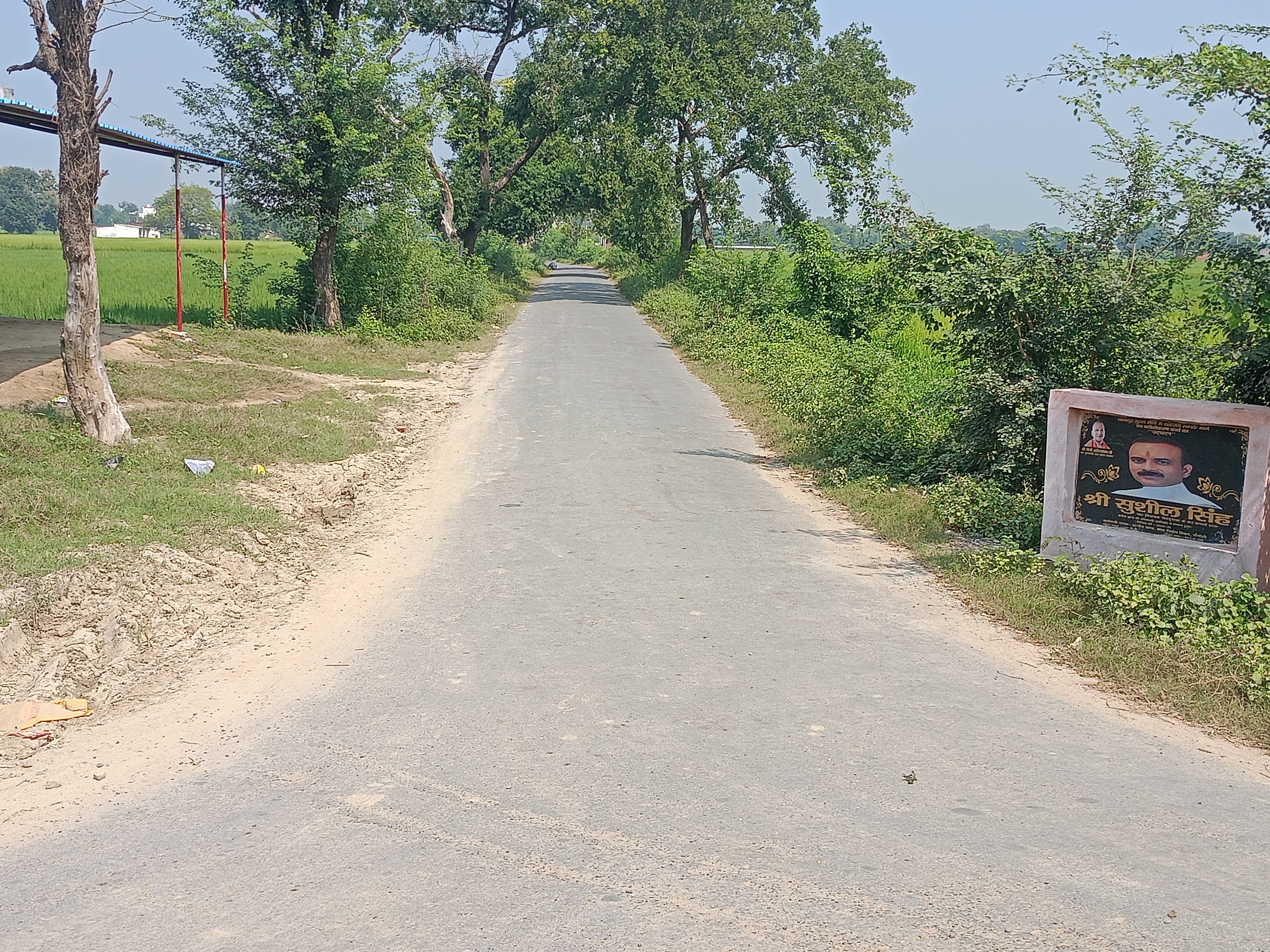 मार्ग पर झाड़ियों से आवाजाही बाधित। - Dainik Bhaskar