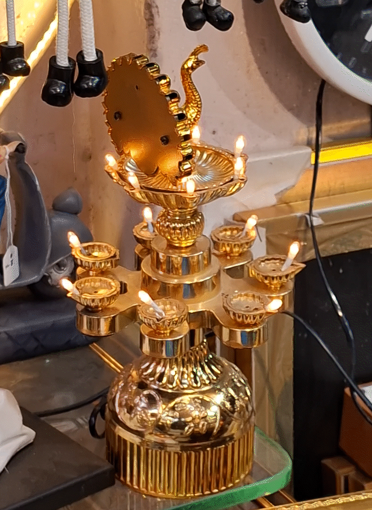 बाजारों में ऐसे भी सामान हैं, जो पारंपरिक रूप से धनतेरस के मौके पर खरीदे जाते हैं। उसे भी व्यवसायी बाजार में लेकर आए हैं।