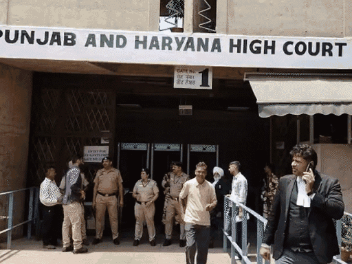 पंजाब एंड हरियाणा हाईकोर्ट।