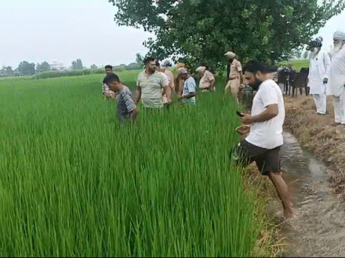 भारत-पाक के बीच हथियारों की तस्करी 5 गुना बढ़ी:  पंजाब बॉर्डर सबसे अधिक प्रभावित; 179 में से 163 ड्रोन मूवमेंट यहीं से मिले – Amritsar News