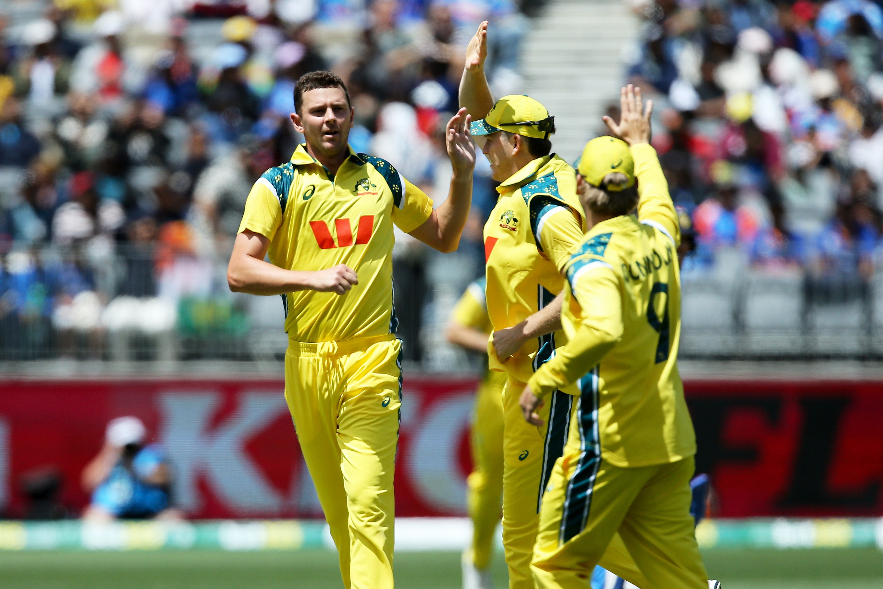 रोहित शर्मा का विकेट सेलिब्रेट करते जोश हेजलवुड और ऑस्ट्रेलियाई खिलाड़ी।