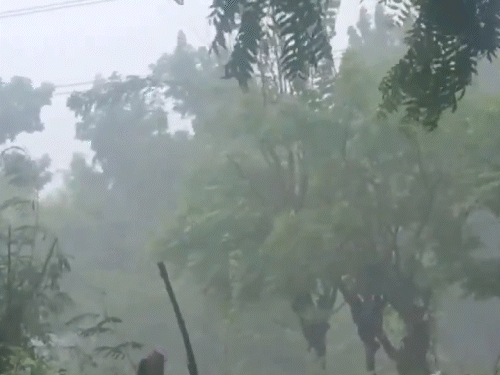 तामिळनाडूच्या नीलगिरी रेल्वे मार्गावर भूस्खलन, अनेक गाड्या रद्द: पुढील 7 दिवस दक्षिण भारतात मुसळधार पावसाचा इशारा; ईशान्य मान्सून सक्रिय सकाळपासूनच परिसरात मुसळधार पाऊस सुरू होता.