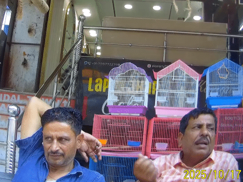 दुकानदारों की बातचीत से ये साबित हो गया कि लखनऊ में भी उल्लू बेचे जा रहे हैं।