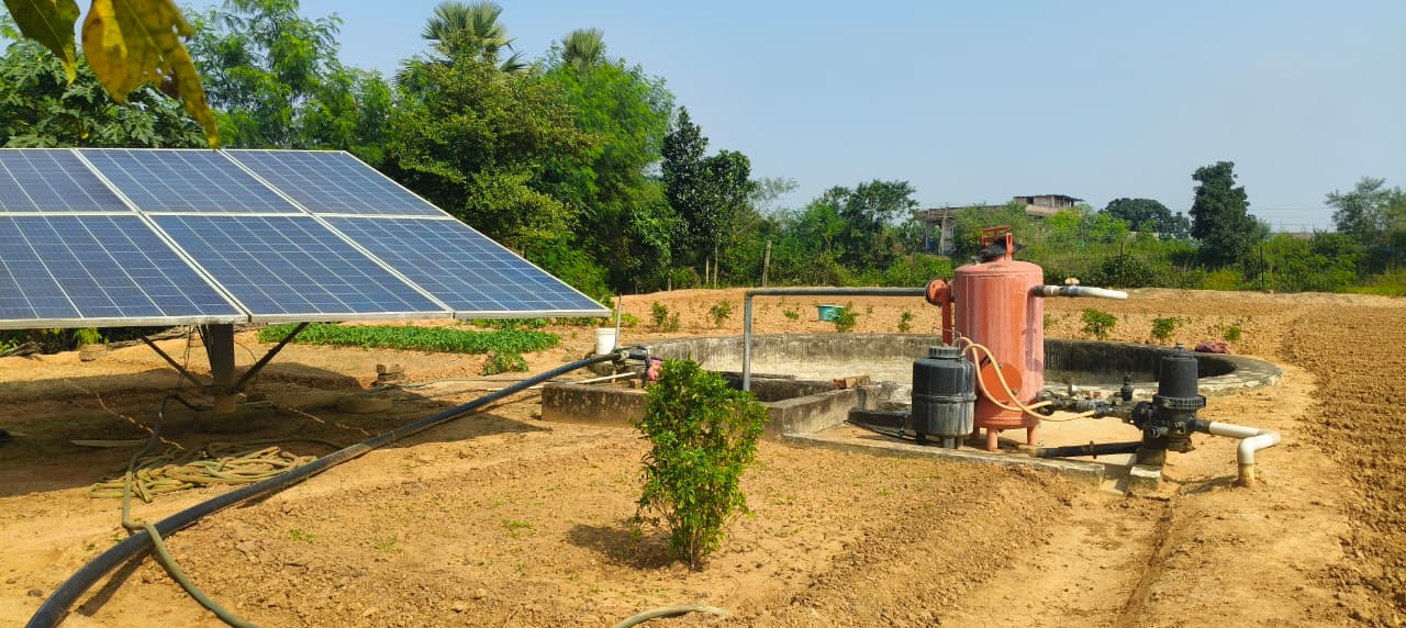 अजय साव ने इजराइल जा कर खेती में तकनीक के गुर सीखे।