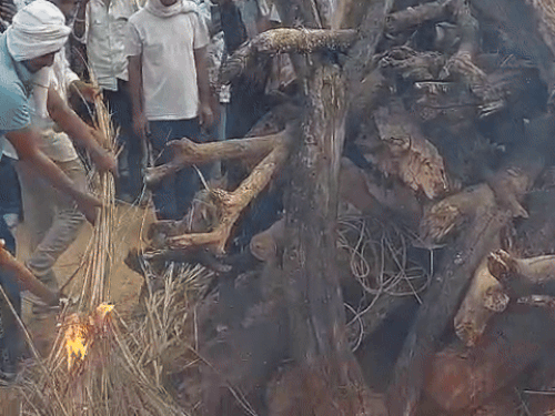 पंचतत्व में विलीन हुए शहीद सशस्त्र सीमा बल (SSB) के कॉन्स्टेबल अनिल कुमार।