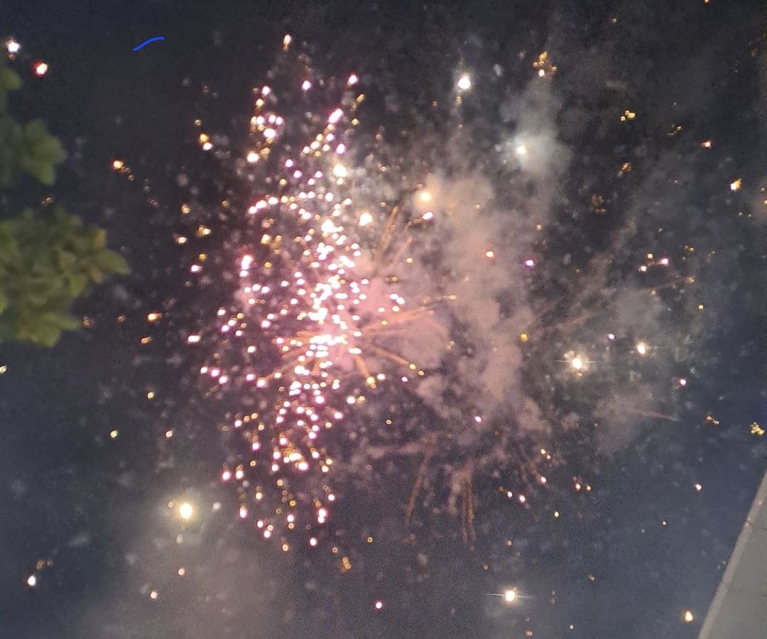 पाली में आतिशबाजी करते शहरवासी।