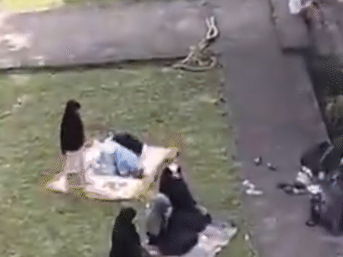 पुणे के शनिवारवाड़ा में महिलाओं के नमाज अदा करने का वीडियो वायरल हुआ था।