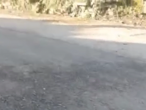 NH-5 पर ठियोग बाजार में की जा रही टारिंग लगी उखड़ने।