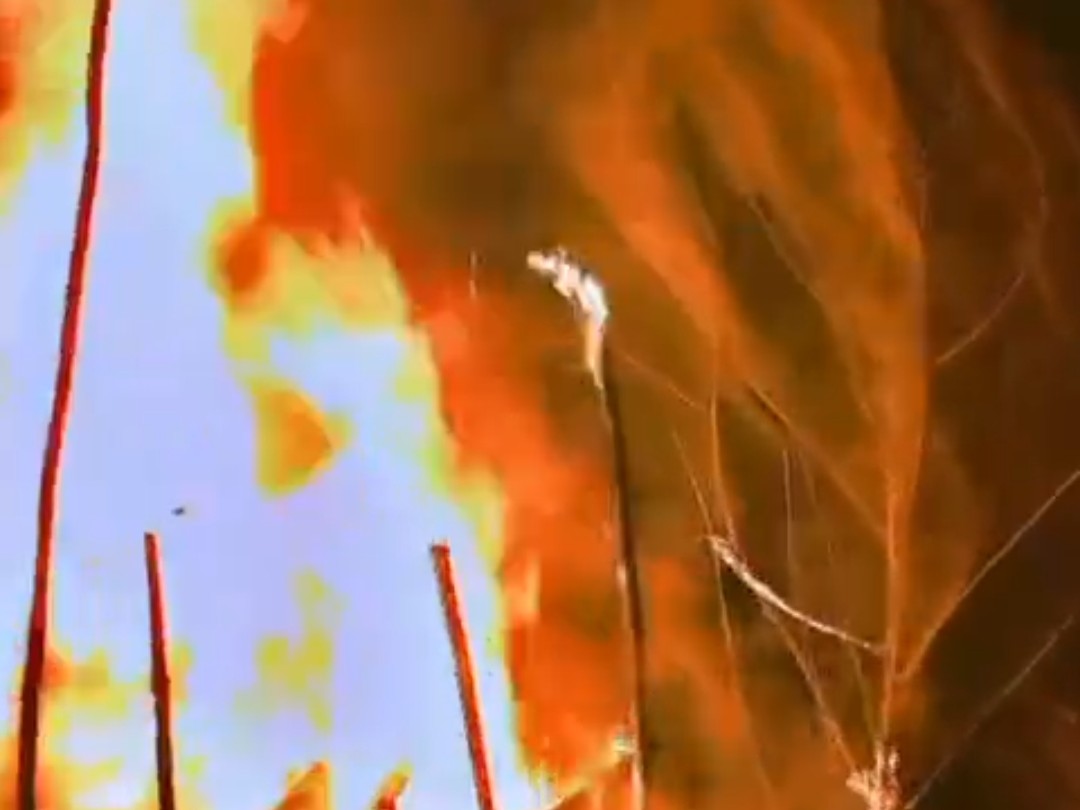 पटाखे की चिंगारी से टेंट हाउस में लगी आग:  पटना में 10 लाख का सामान जलकर नष्ट, शादियों की तैयारी के लिए बाहर से मंगाए थे – phulwari sharif News