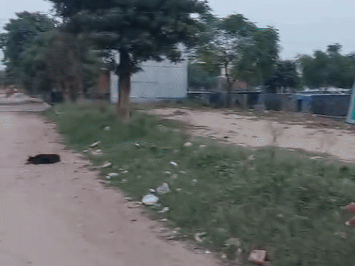 पूर्व डीजीपी मोहम्मद मुस्तफा और पूर्व कैबिनेट मंत्री रजिया सुल्ताना के घर में सन्नाटा पसरा हुआ है।