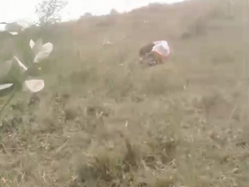 मारपीट के बाद खेत में लोग पड़े दिखे।