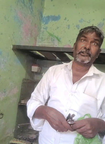 सन्नू ने हमसे कहा कि आप उल्लू का पंख ले जाइए इससे भी आपका काम हो जाएगा।