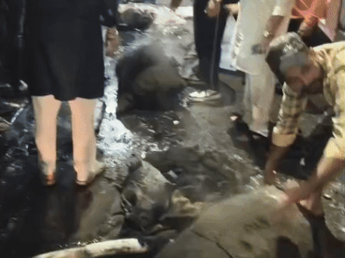 अमृतसर में कोयले के गोदाम में लगी आग:  दो घंटे की मशक्कत के बाद आग पर पाया गया काबू, बड़ा हादसा टला – Amritsar News